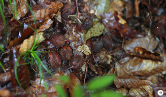 WELLNESS TOURISM chapter2 05