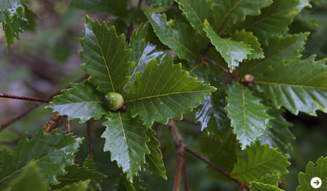 WELLNESS TOURISM chapter2  07