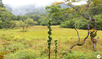 WELLNESS TOURISM chapter2  08