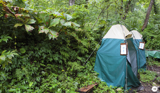 WELLNESS TOURISM chapter2  15