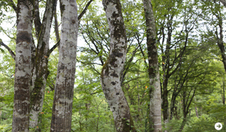 WELLNESS TOURISM chapter2  19