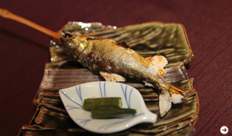 WELLNESS TOURISM chapter2  29