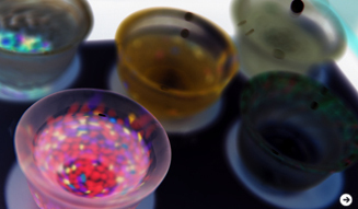 WELLNESS TOURISM chapter2  31