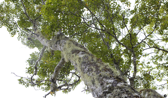 WELLNESS TOURISM chapter2  12