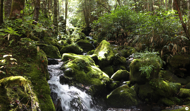 WELLNESS TOURISM chapter3 14
