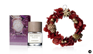 フィッツコーポレーション|ニコライバーグマン 02