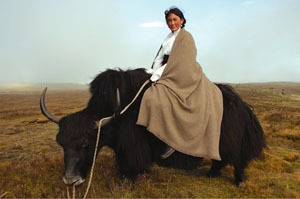 ドワネル|コクトー 03