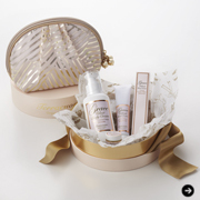 Terracuore|テラクオーレ