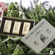 Gamila Secret|ガミラシークレット