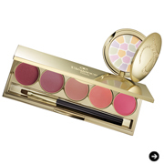 ELEGANCE|エレガンス