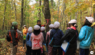 MERRY GREEN CHRISTMAS 2012|メリー グリーン クリスマス 2012