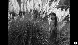 ART｜立木義浩写真展 『小女』03