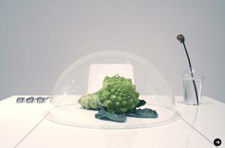 『plantica_Nomadic』展 05