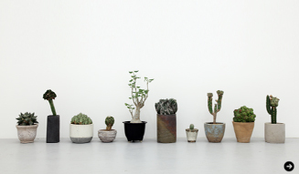 Qusamura temporary shop at limArt vol.2－植物も個性の時代－02