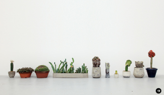 Qusamura temporary shop at limArt vol.2－植物も個性の時代－03