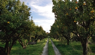 Ermenegildo Zegna│エルメネジルド ゼニア 02