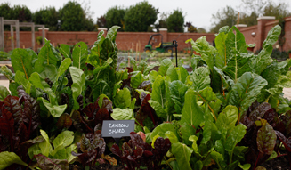 327_04_british_tradition_and_innovation