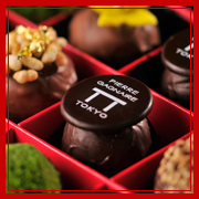 ANA INTER CONTINENTAL TOKYO| ANA インターコンチネンタルホテル東京