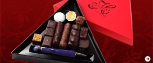 HIRSINGER | イルサンジェー