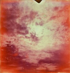 荒木経惟展『淫夢』 02