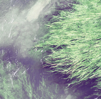 MUSIC｜オン・アン・オン『ギブ・イン』 03