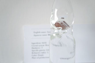 ヒルサイドフォーラム|キギ 04