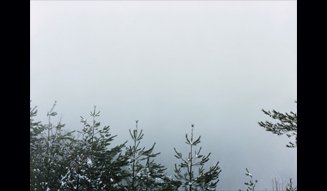 今井智己「Semicircle Law」 02