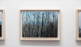 今井智己「Semicircle Law」 09