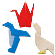 Perrocaliente|プッチペット