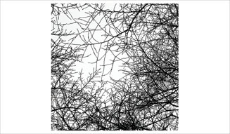 飯田信雄|写真展 02