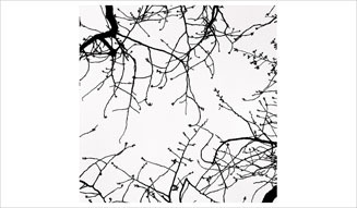 飯田信雄|写真展 03