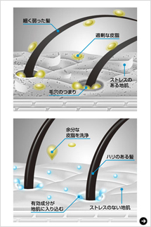 プロクター・アンド・ギャンブル・ジャパン｜エイチ・アンド・エス フォー・メン 02