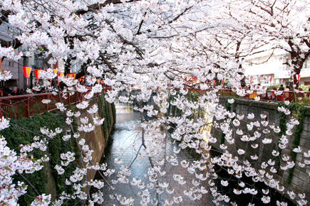 CHANDON ROSÉ|シャンドン ロゼ 02 CHANDON ROSÉ|シャンドン ロゼ 02