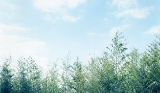 Nowhere resort｜貸別荘 07