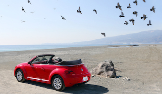 Volkswagen The Beetle Cabriolet|フォルクスワーゲン ザ・ビートル カブリオレ
