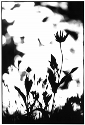 写真展『OUTLANDS』 02