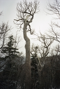 『TAKEO YAMADA│PARADISELOST』 02