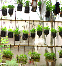 New Alive Food!!!　07