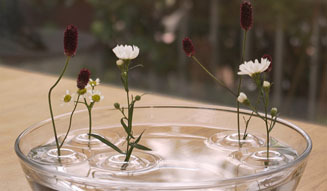 oodesign｜Floating Vase 03