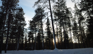 Audi Driving Experience｜アウディ ドライビング エクスペリエンス