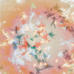 Bibio 『Silver Wilkinson』
