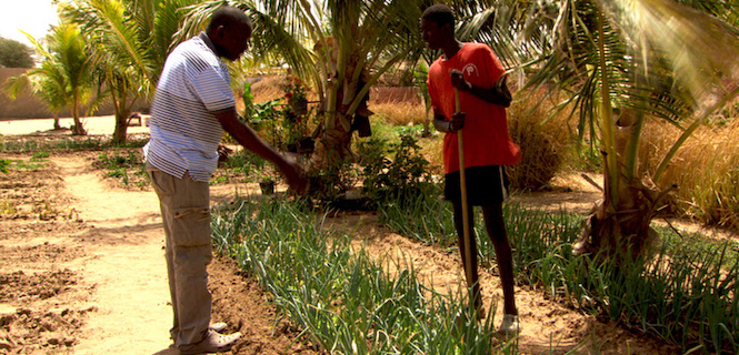 世界が食べられなくなる日 04