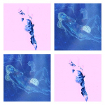 Om'Mas Keith 『City Pulse』