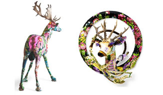 トーヨーキッチン|妖しのインテリア展 03