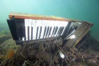 ダンゴウオ 海の底から見た震災と再生 02