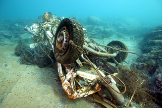 ダンゴウオ 海の底から見た震災と再生 03