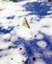 SPACE CADET  Actual Exhibition 02