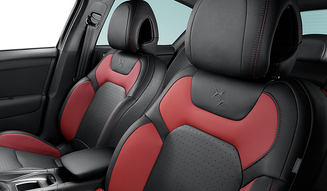 Citroen DS4 Edition Rouge|シトロエンDS4 エディション ルージュ