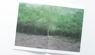 twelvebooks｜Mapping　10
