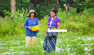 TRAVEL|「ル・メリディアン ジンバラン」 14